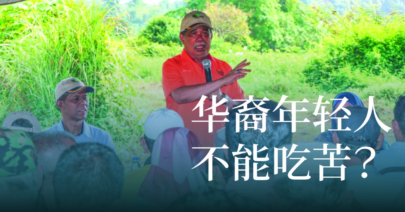 现在的华裔年轻人，不能吃苦了吗？