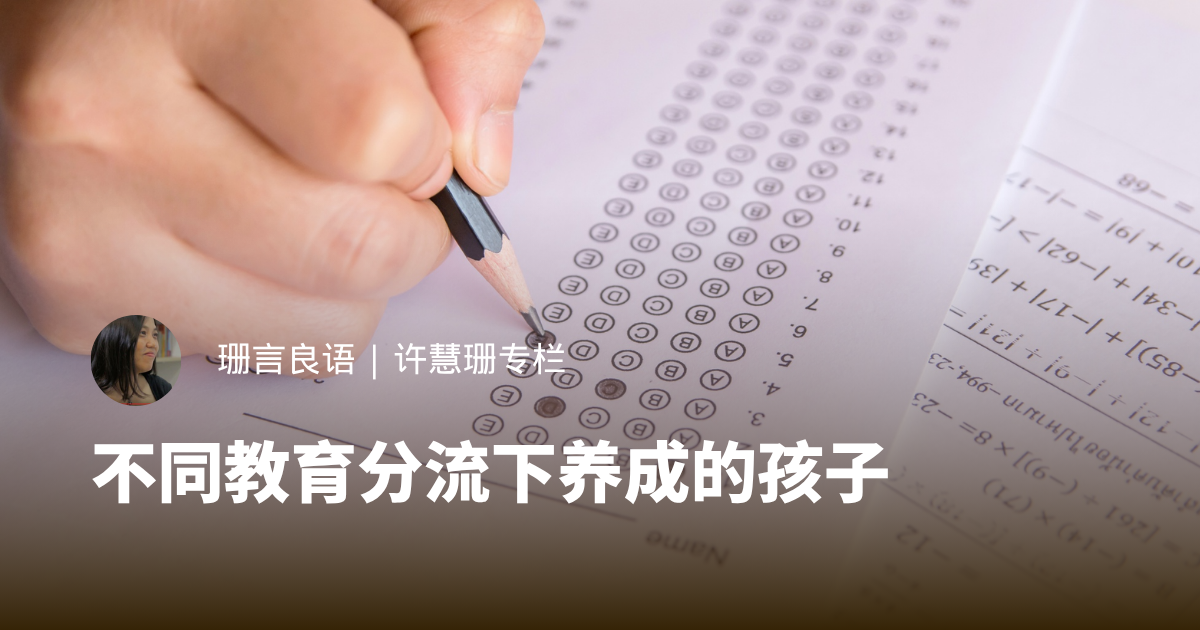 不同教育分流下养成的孩子