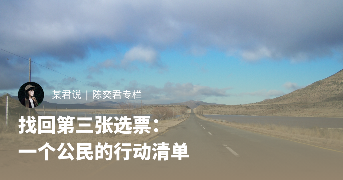 找回第三张选票：一个公民的行动清单